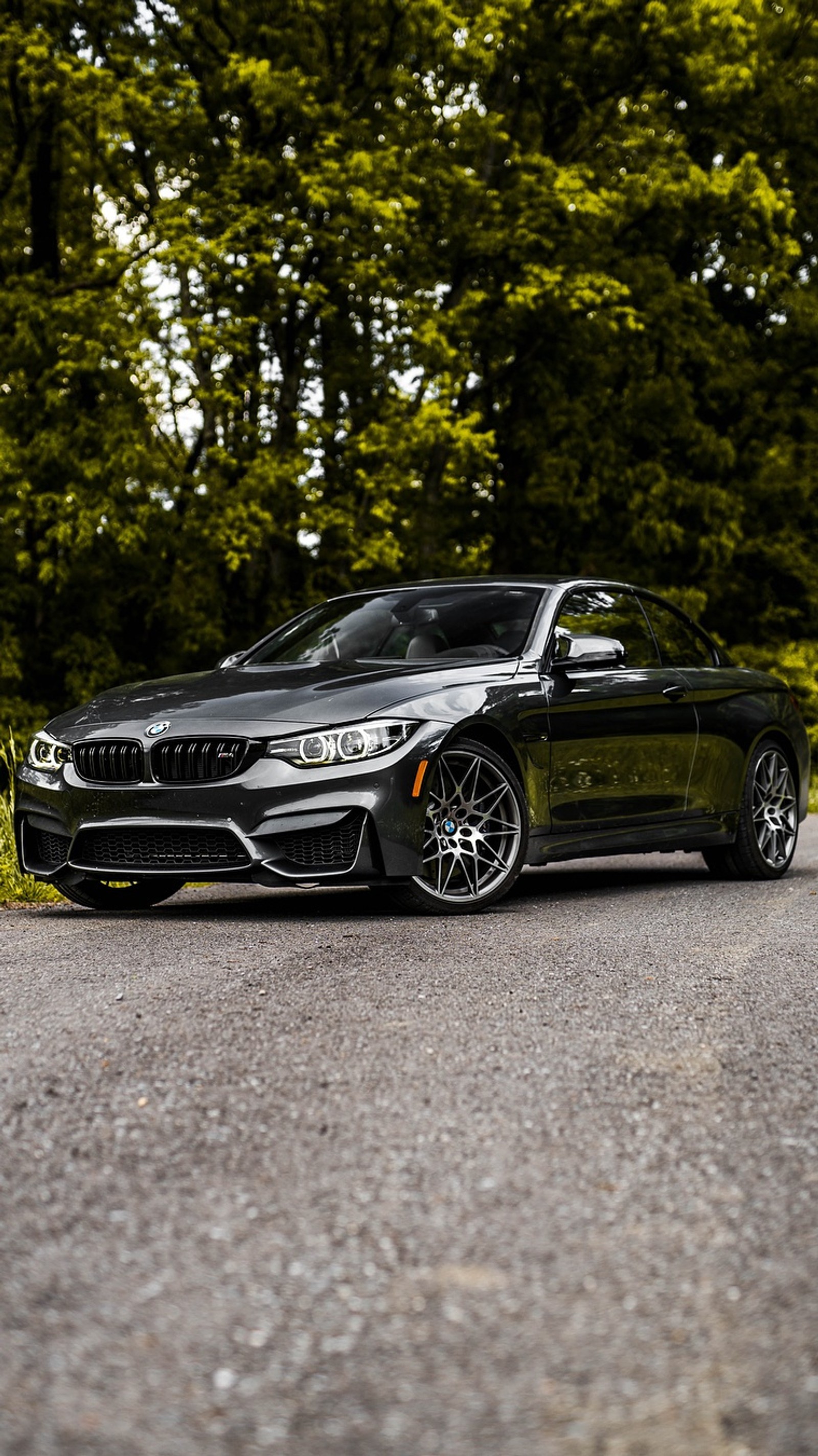 Un coche bmw negro árabe estacionado en una carretera con árboles de fondo (bmw, coches, coche, súper, alta clase)