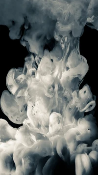 Ethereal Swirls of Black and White Smoke