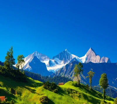 Montagnes majestueuses sous un ciel bleu clair