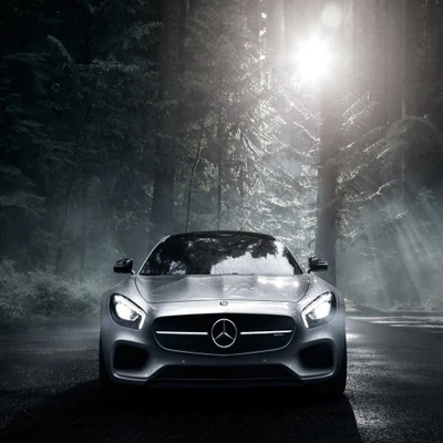 Supercoche Mercedes-Benz en un entorno forestal brumoso.