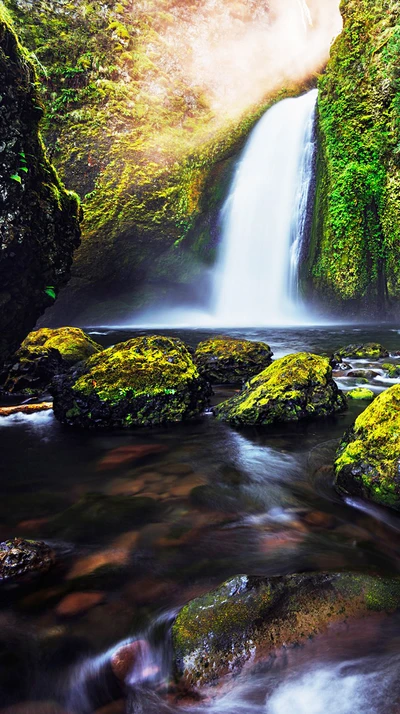 outono, verde, natureza, rochas, água