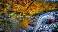 Herbstwasserfall umgeben von lebendiger Vegetation