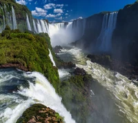 natur, baum, wasser, wasserfall