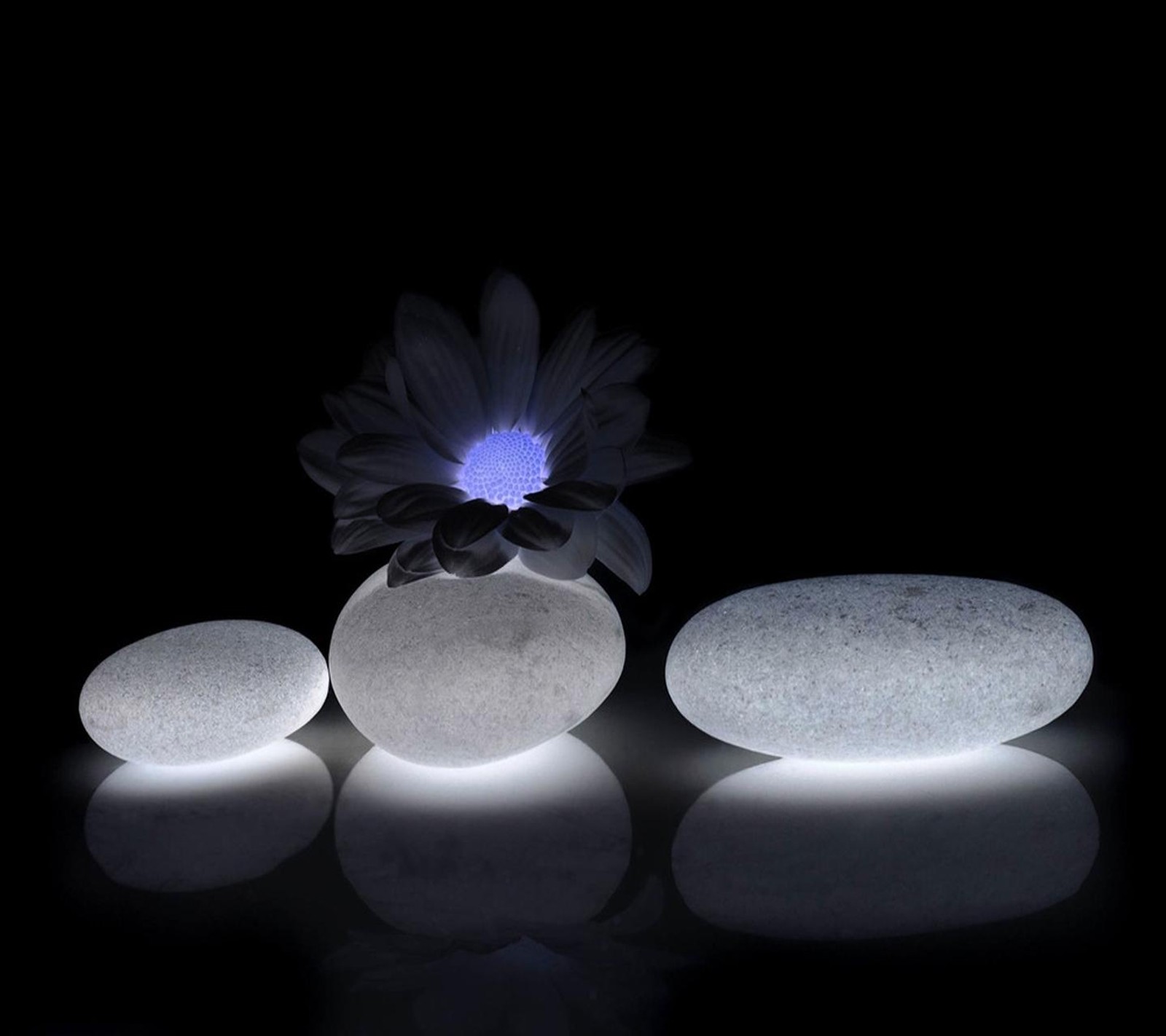 Hay tres piedras y una flor en un jarrón sobre una mesa (papel de pared, zen)