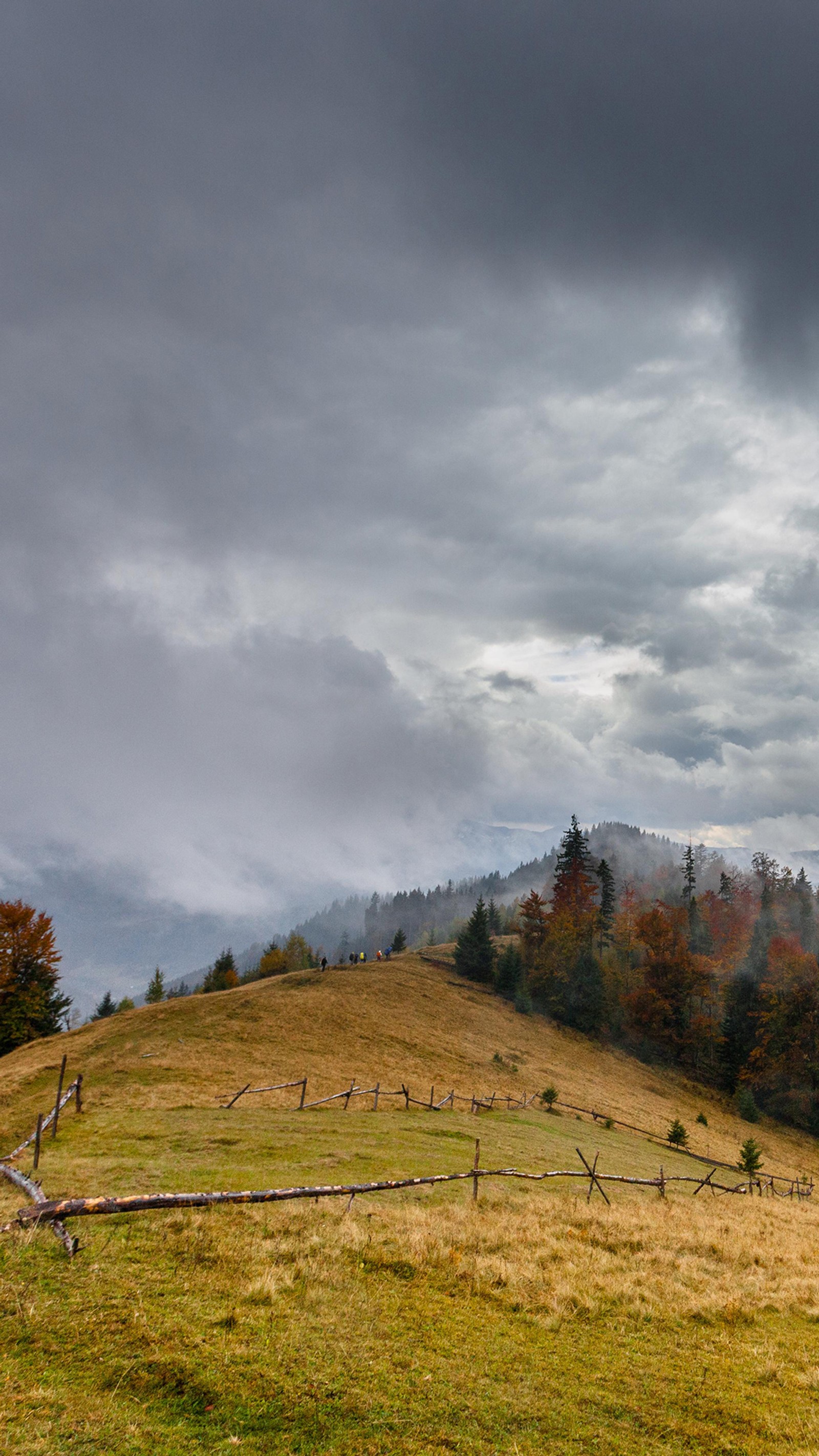 cloud, plant, natural landscape, mountain, tree wallpaper