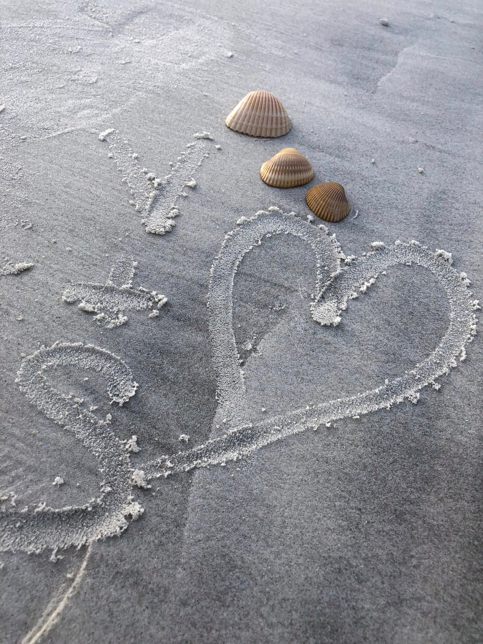 sand, water, grey, beach, tar wallpaper