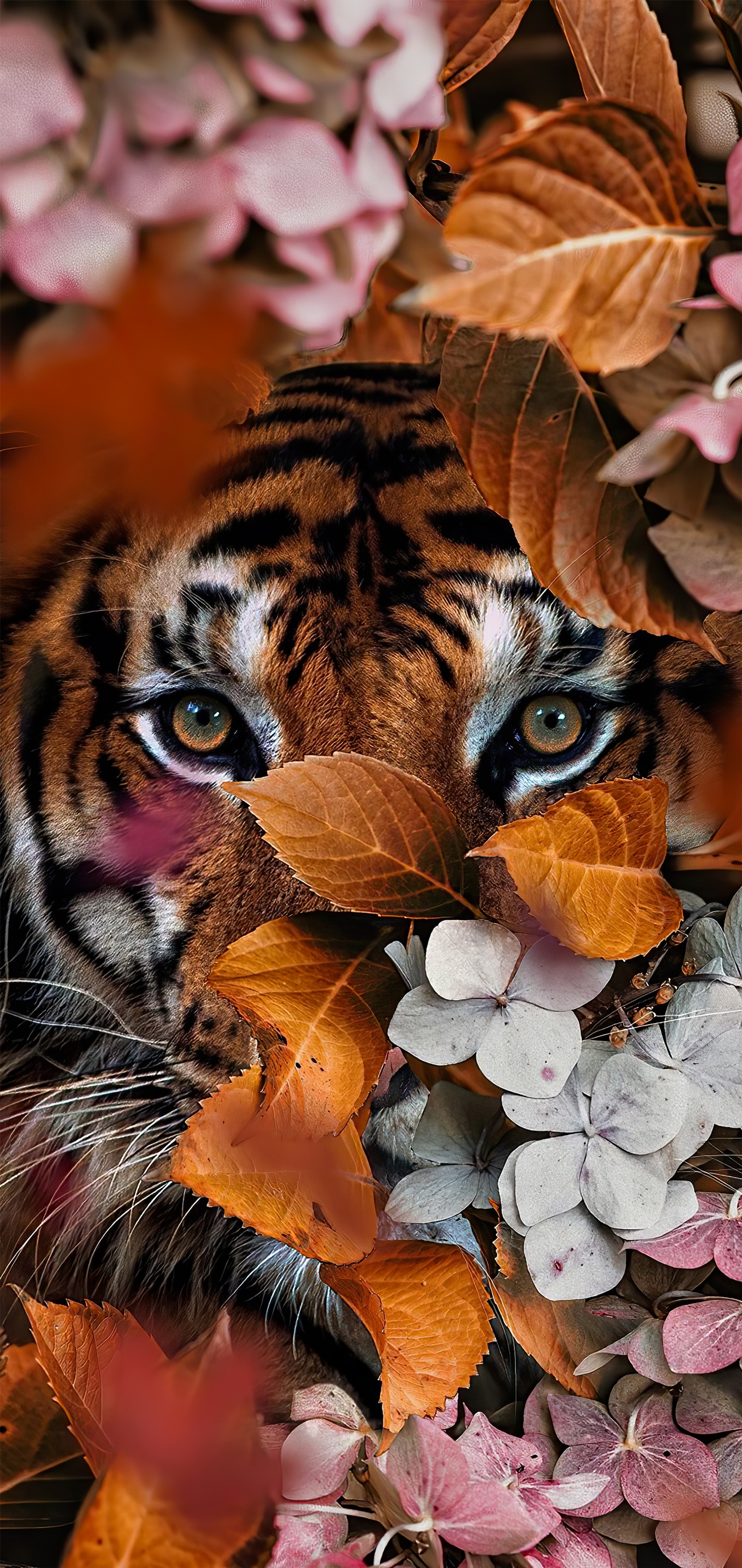 bengal tiger, lion, felidae, flower, siberian tiger Download Wallpaper