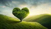 Heart-Shaped Tree on a Serene Hilltop Landscape