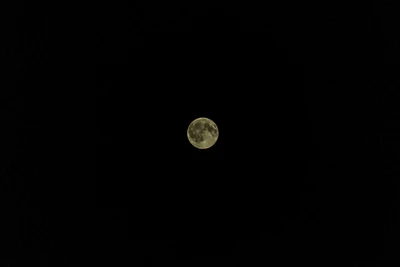 Luna de cosecha iluminando el cielo nocturno