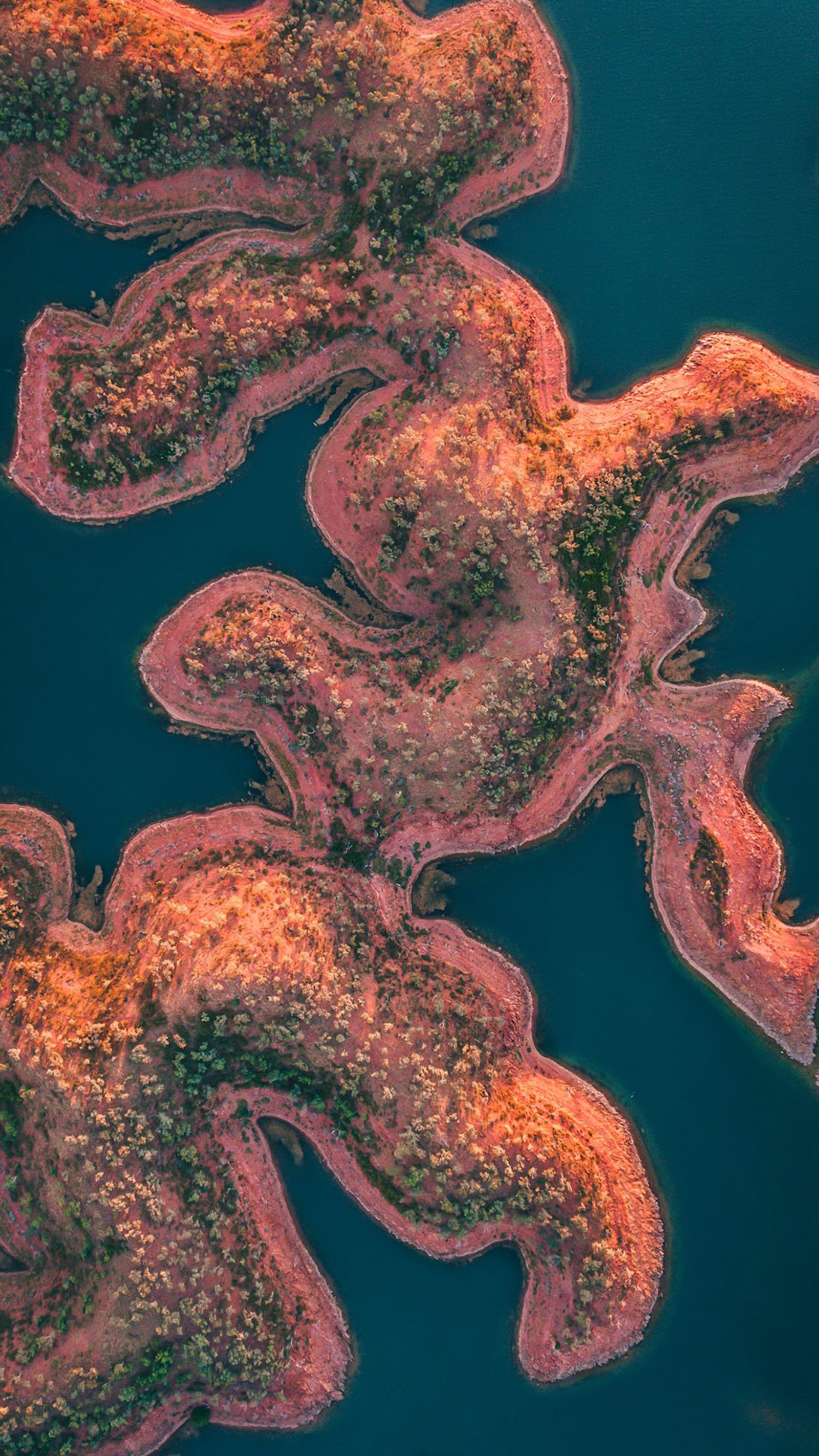 Vista aérea de um barco navegando por um corpo d'água (biologia marinha, ciência, subaquático, invertebrados marinhos, ambiente natural)