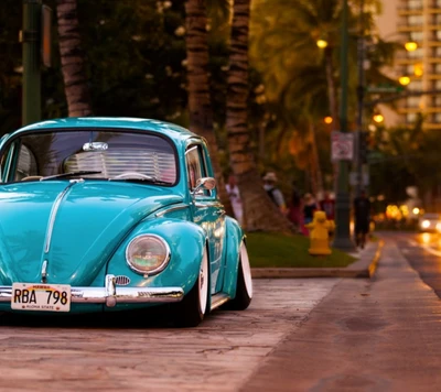 beetle, car, cute