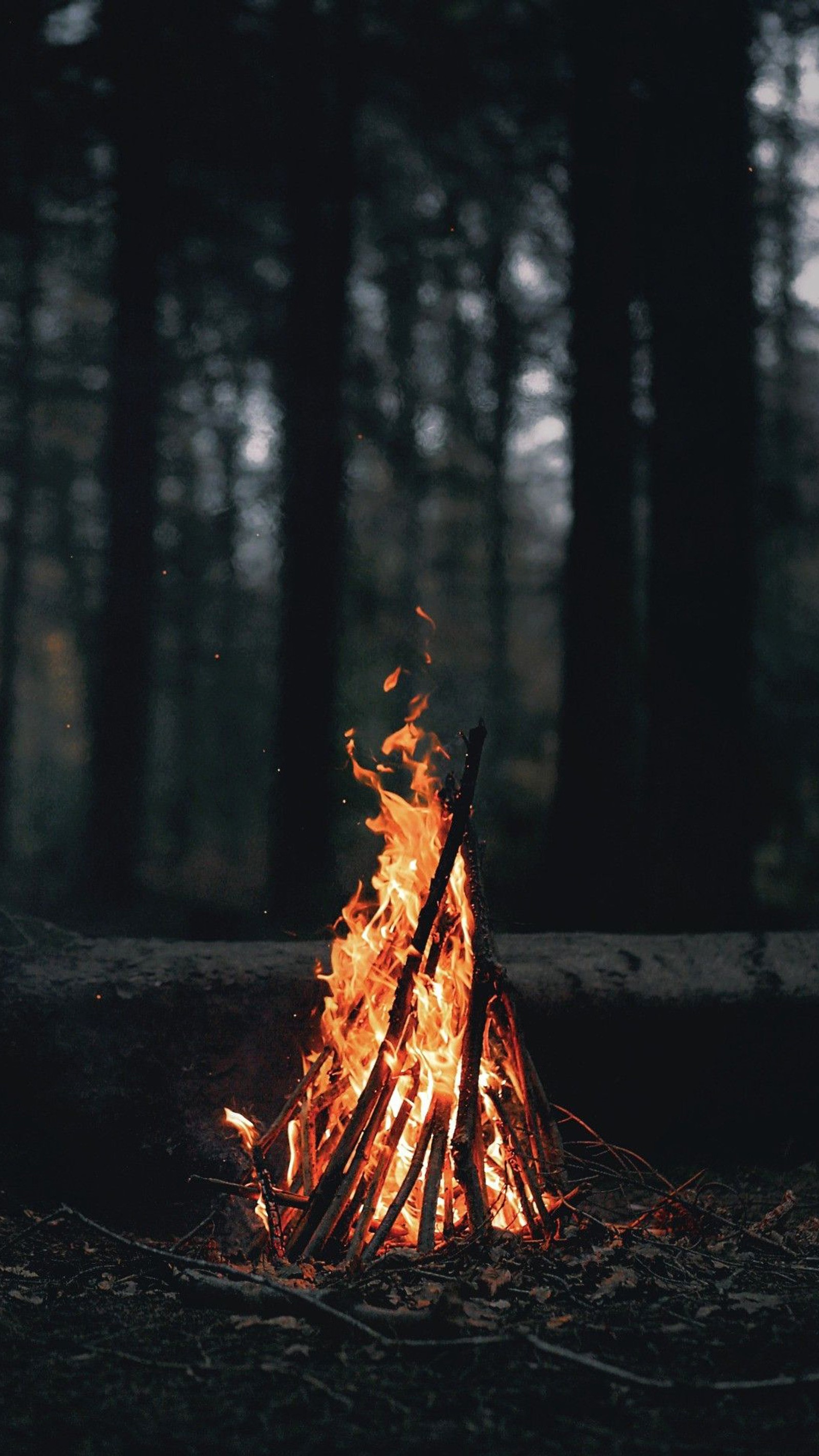 Il y a un feu qui brûle au milieu des bois (feu de joie, feu de camp, forêt)