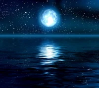 Moonlit Serenity Over Calm Waters