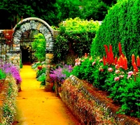 Un chemin de jardin vibrant encadré par une verdure luxuriante et des fleurs colorées sous une arche en pierre.