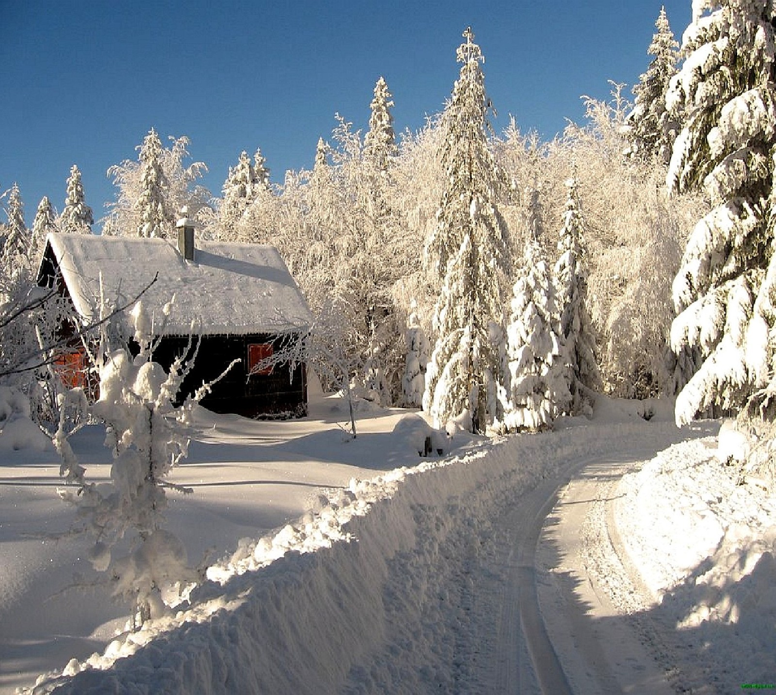 Cabaña nevada en el bosque con un camino que conduce a ella (naturaleza)