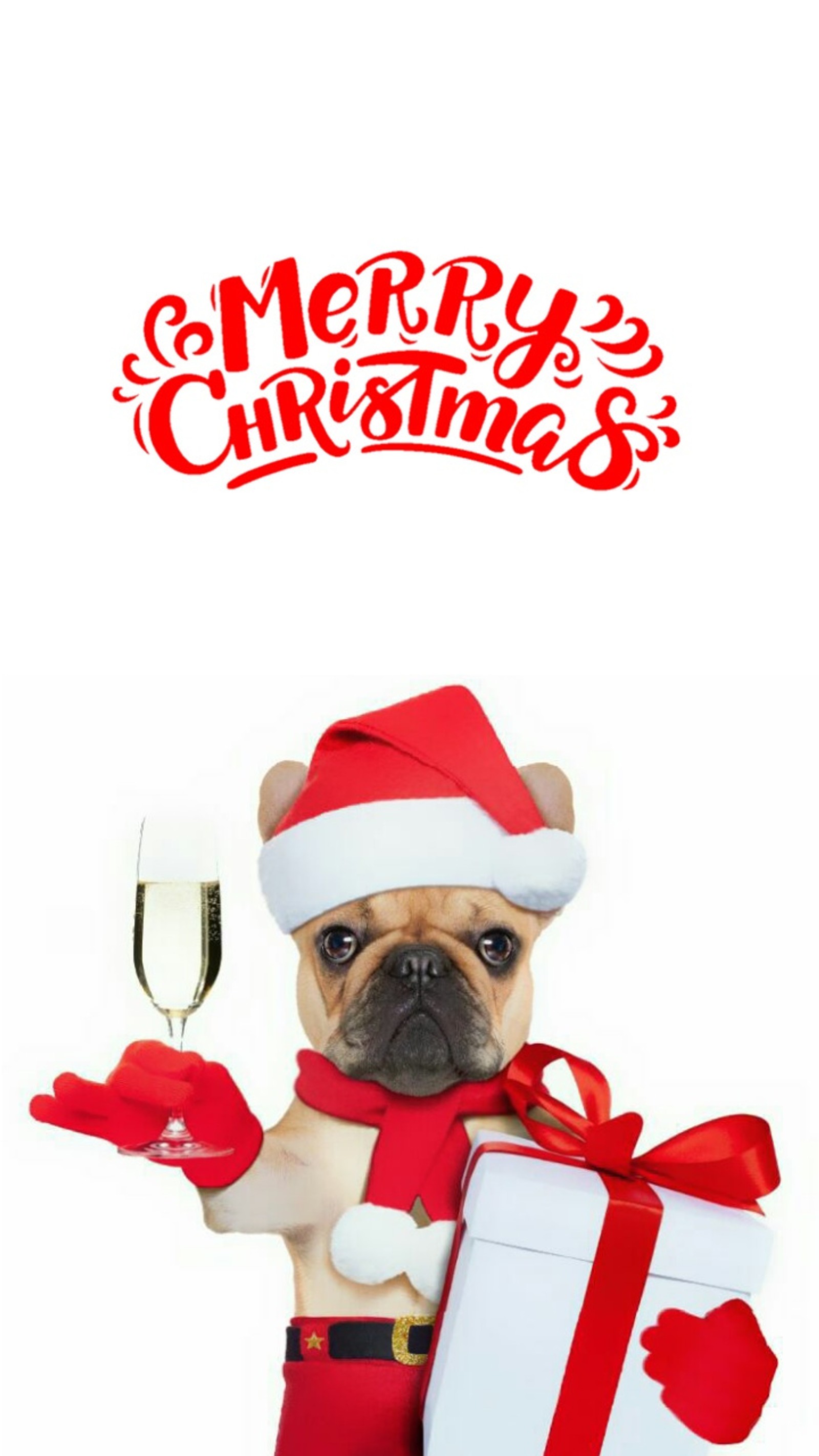 Merry christmas card with a dog holding a glass of champagne (merry christmas, navidad, perro, aimales, dogs)