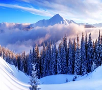 Majestuoso paisaje invernal con montañas cubiertas de nieve y bosques de pinos