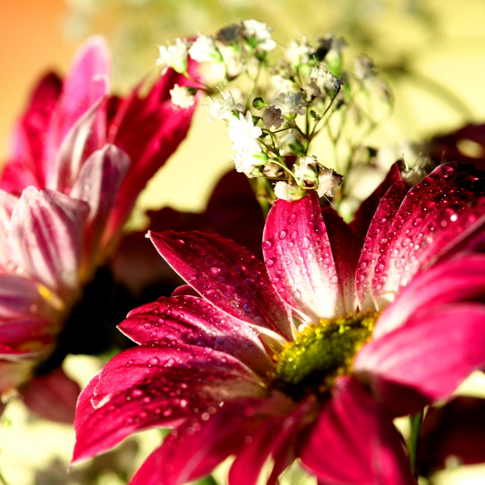 Hay muchas flores en un jarrón sobre la mesa (hf, xq)