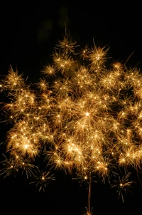 Sparkling Fireworks Display Celebrating July in the USA