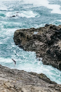 coastal and oceanic landforms, headland, tourism, ocean, beach wallpaper