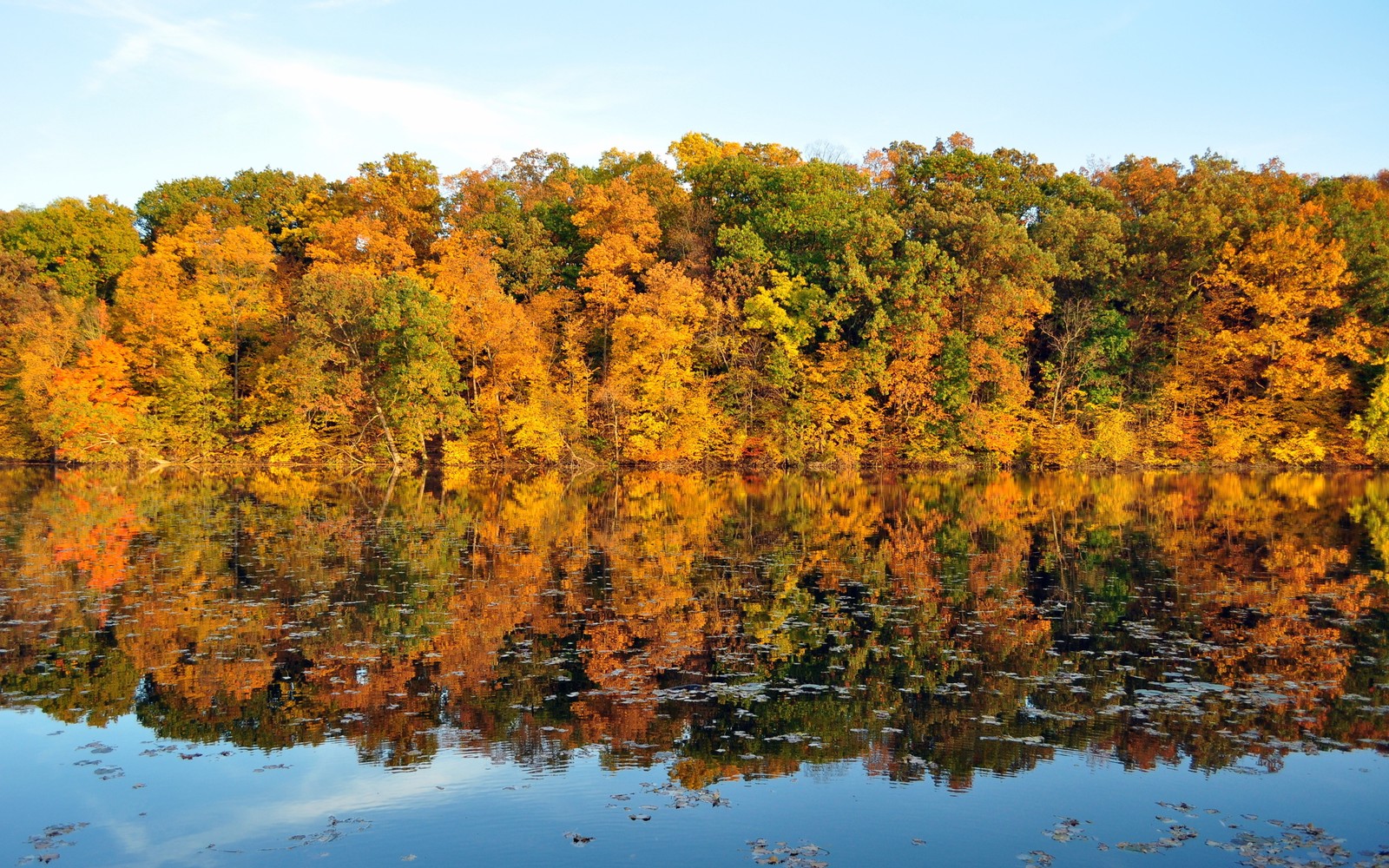 Une vue d'un lac avec des arbres en arrière-plan et un ciel bleu (réflexion, nature, arbre, feuille, végétation)