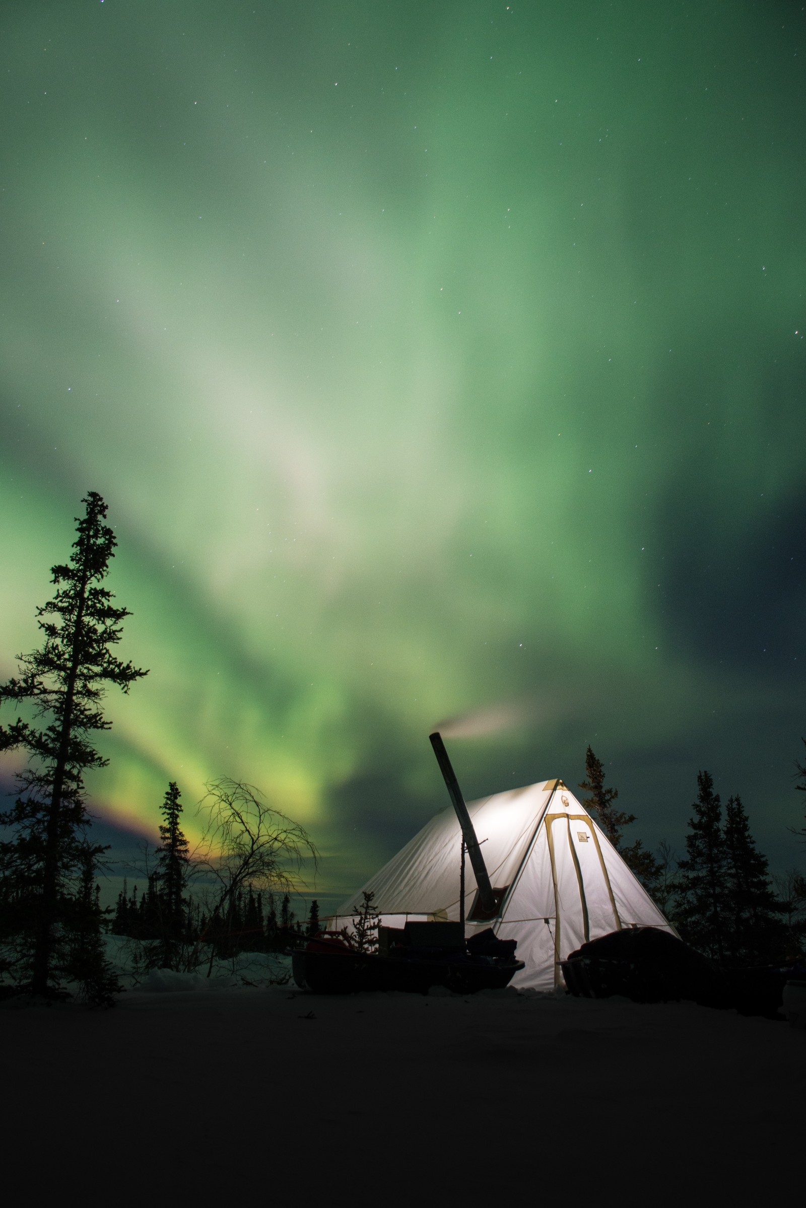 Araffe tent with a pole and poles in front of a green aurora bore (aurora, nature, green, cloud, tree)