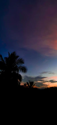 Dusk Serenity: Palm Trees Silhouetted Against an Atmospheric Afterglow