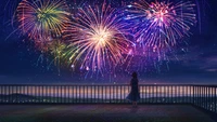 beautiful, fireworks, night, sky, anime wallpaper