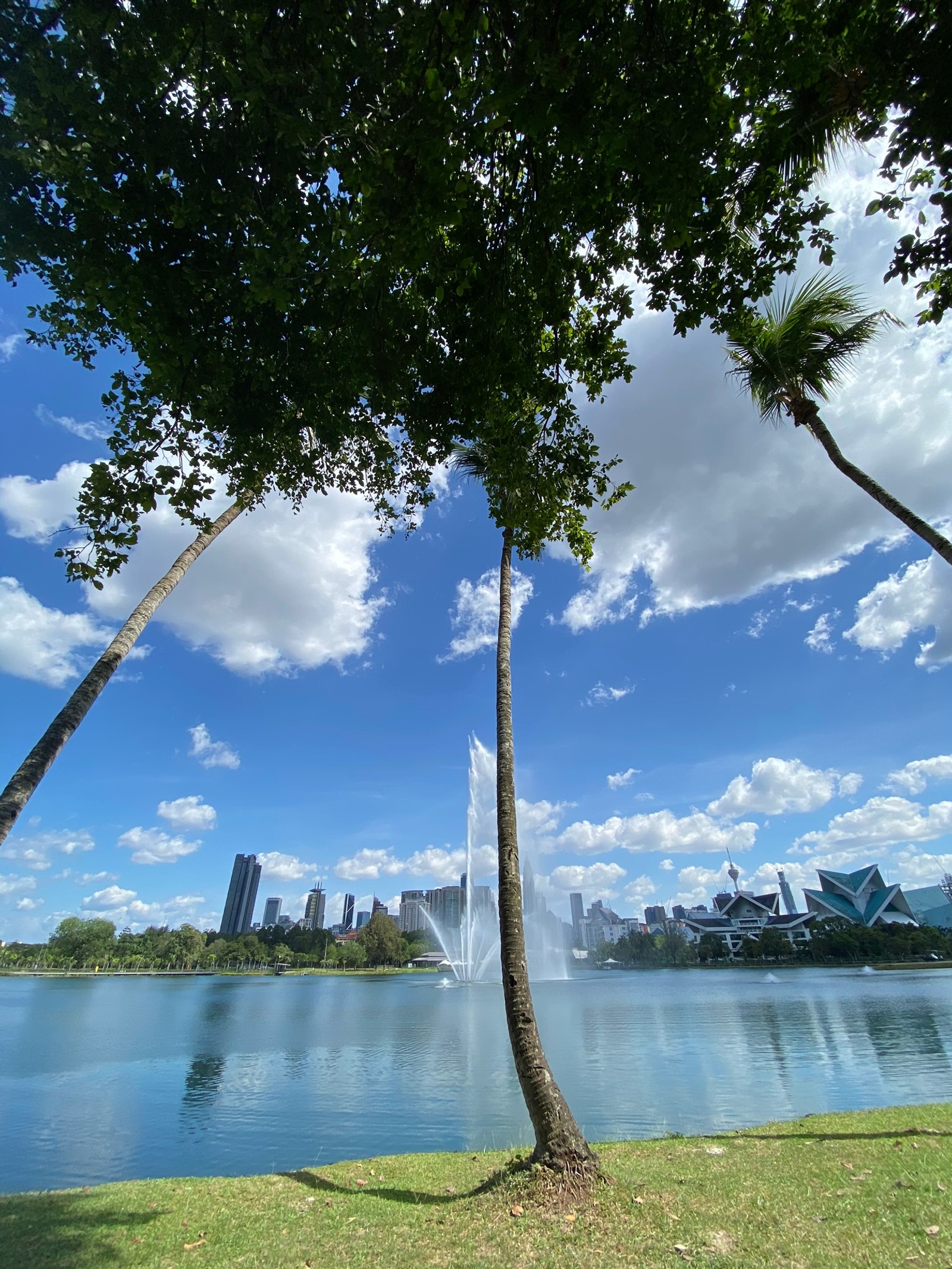 Existem duas palmeiras ao lado de um lago (reflexo, natureza, nuvem, recursos hídricos, paisagem natural)