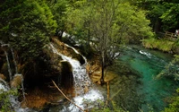 Cascata serena caindo em um riacho cristalino cercado por vegetação exuberante