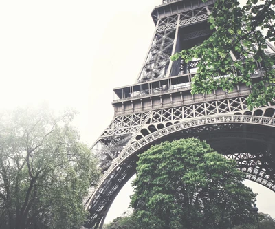 Torre Eiffel en medio de exuberante vegetación