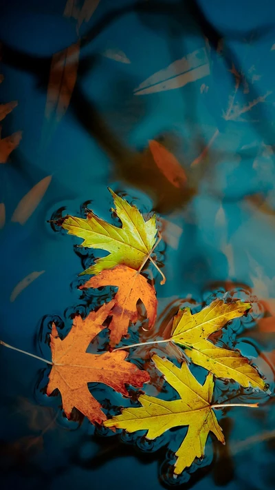 automne, beau, feuilles, nature, saisons