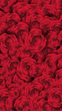 flowers, red, roses wallpaper