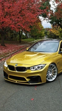 autumn, bmw, car, road