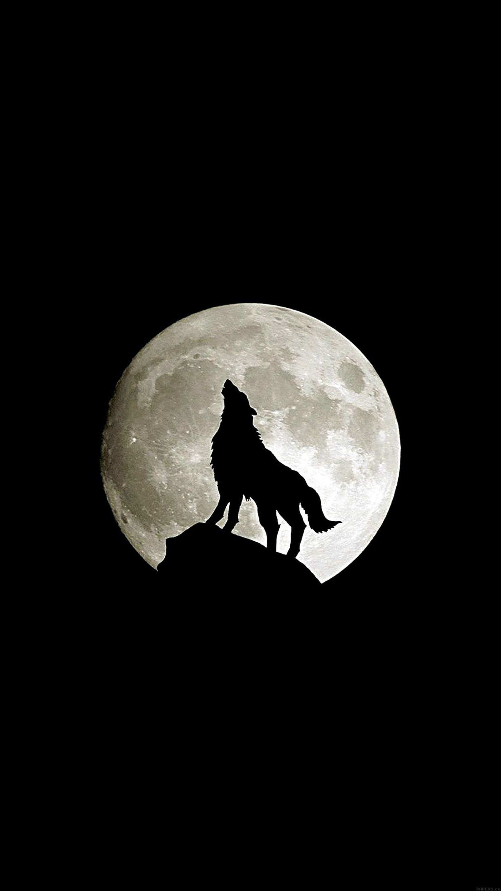 Um lobo árabe em pé sobre uma rocha com uma lua cheia ao fundo (animal, escuro, minimalista, natureza, lobo)