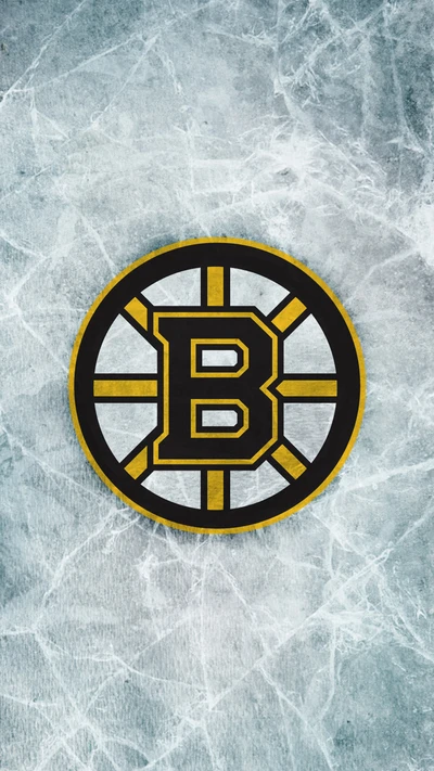 boston, bruins, eishockey, massachusetts, neuengland