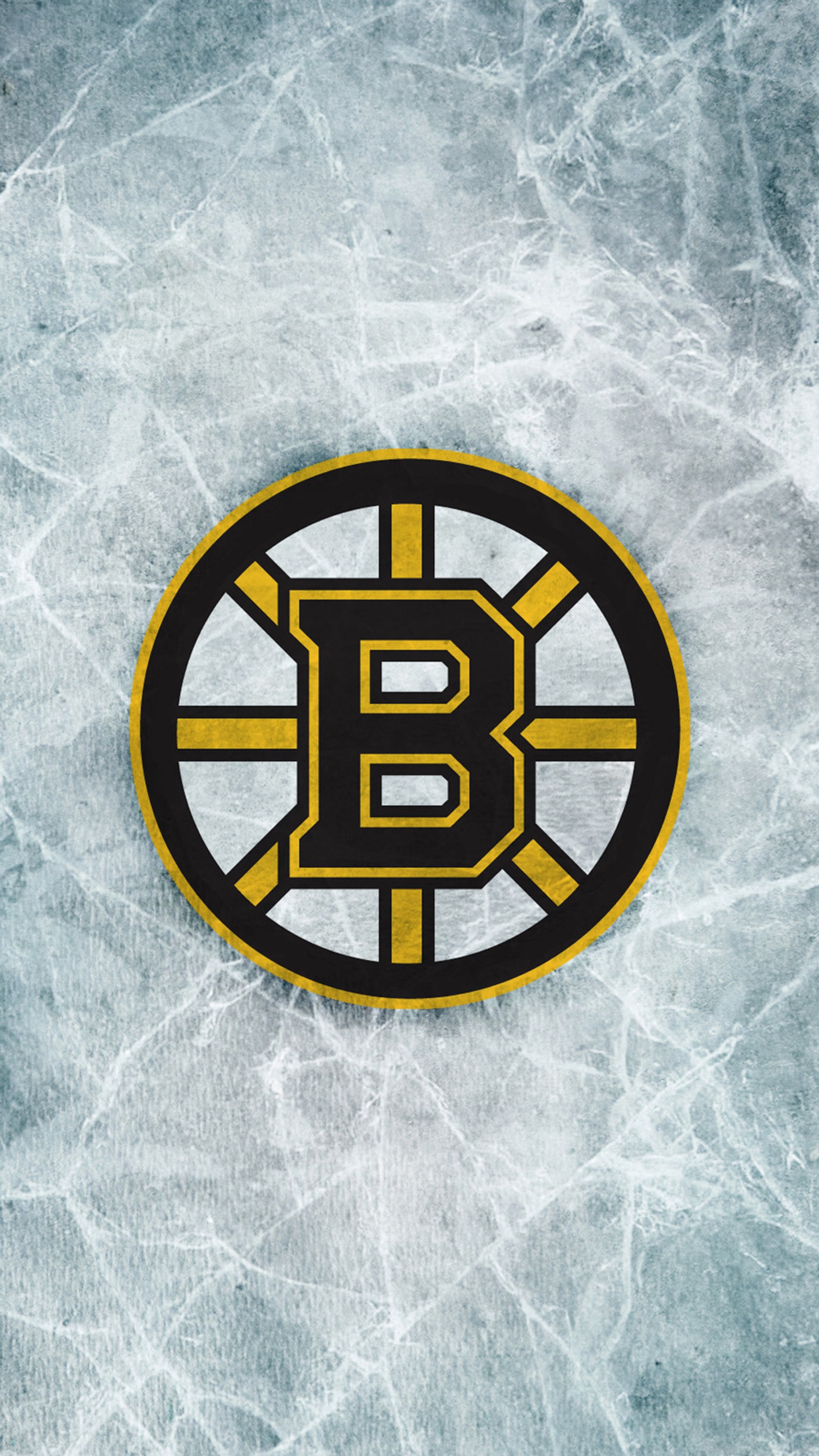 Um close de um disco de hóquei com o logo dos boston bruins (boston, bruins, hóquei, massachusetts, nova inglaterra)