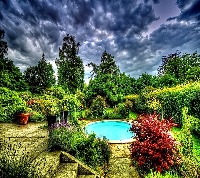 A view of a pool surrounded by lush green trees and shrubs (nature)