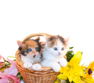 Dois adoráveis gatinhos aninhados em uma cesta trançada cercada por flores vibrantes.