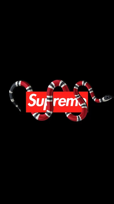 Cobra vermelha e preta enrolada ao redor do logo Supreme