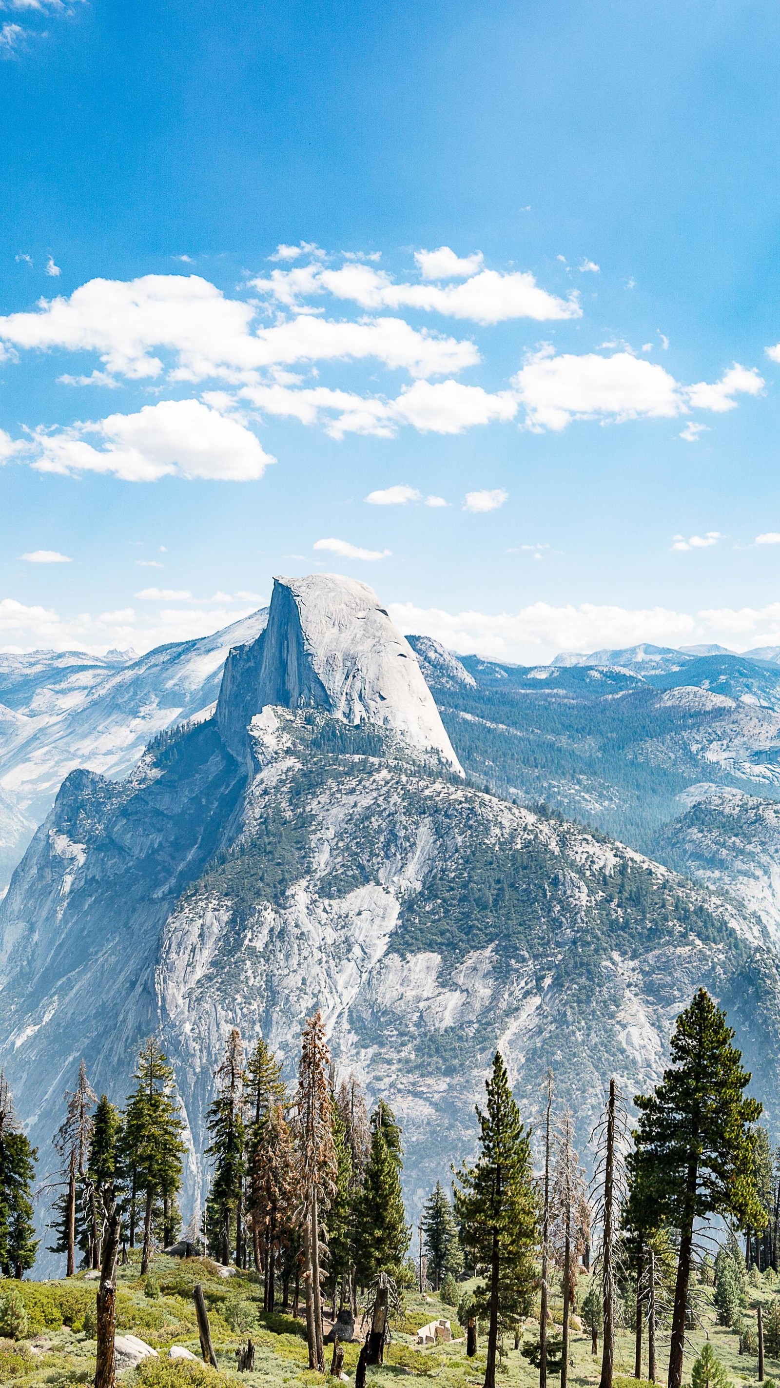 Há um cavalo que está em pé na grama perto das montanhas (parque nacional de yosemite, glacier point, parque nacional, parque, natureza)