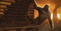 King Kong taucht vor einem feurigen Sonnenuntergang in Godzilla gegen Kong auf