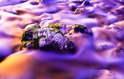 Enchanting Purple Stream: A Long Exposure of Moss-Covered Rock