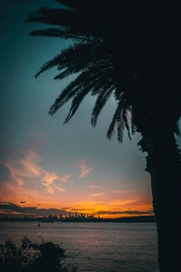 Coucher de soleil tropical tranquille sur l'océan avec des palmiers en silhouette