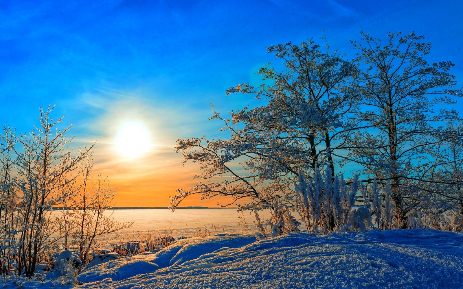 Une vue d'un champ enneigé avec des arbres et un soleil éclatant (coucher de soleil, hiver, neige, nature, arbre)