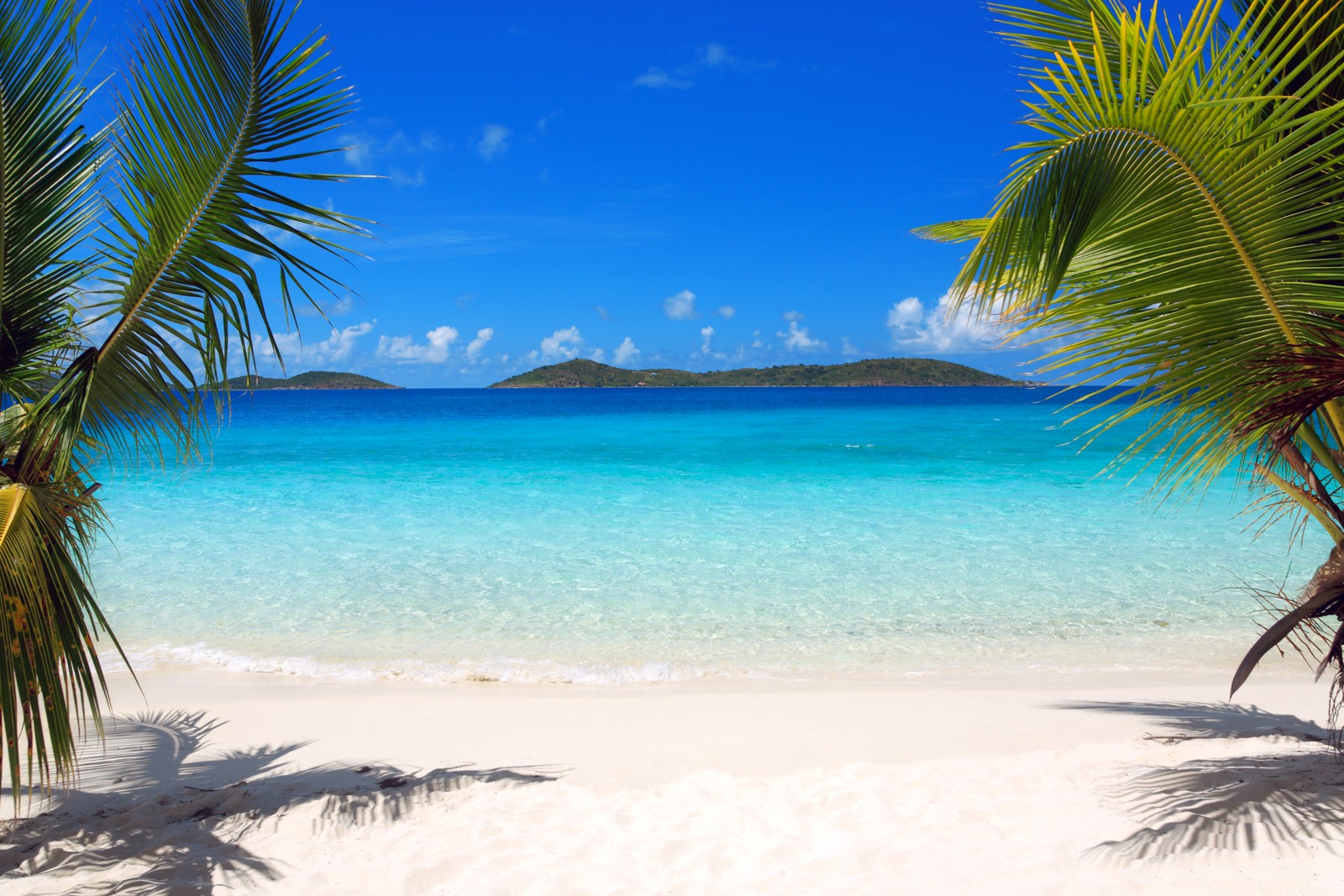 Vue d'une plage avec des palmiers et un océan bleu clair (plage, tropiques, palmier, caribéen, vacances)