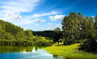 naturaleza, agua, reflexión, reserva natural, vegetación