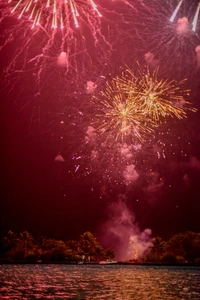 fireworks, new years day, red, night, pink wallpaper