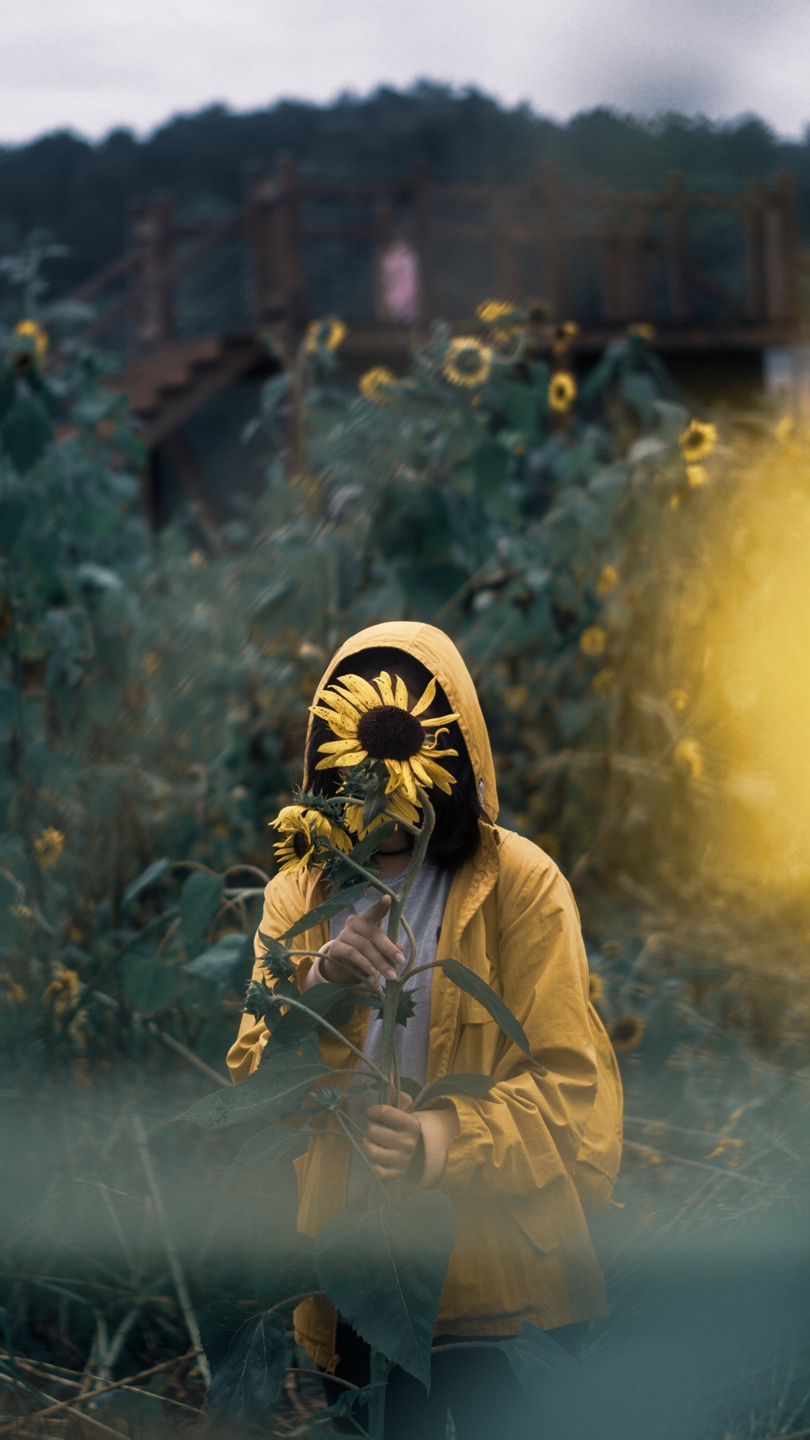 Hay un hombre con una máscara de girasol en su rostro (planta, gente en la naturaleza, luz solar, pasto, chaqueta)