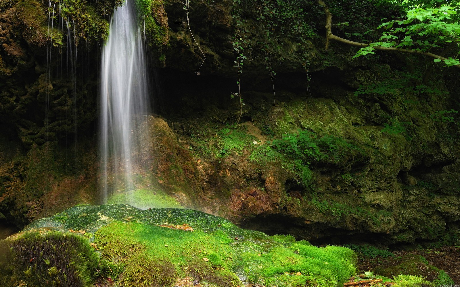 A close up of a waterfall in a forest with moss (nature, waterfall, body of water, nature reserve, water resources)